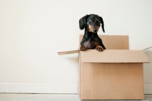 Read more about the article Why moving in the middle of a week can save your money?