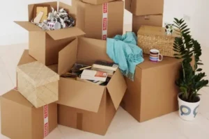 Read more about the article How to Declutter Your Home Before Moving