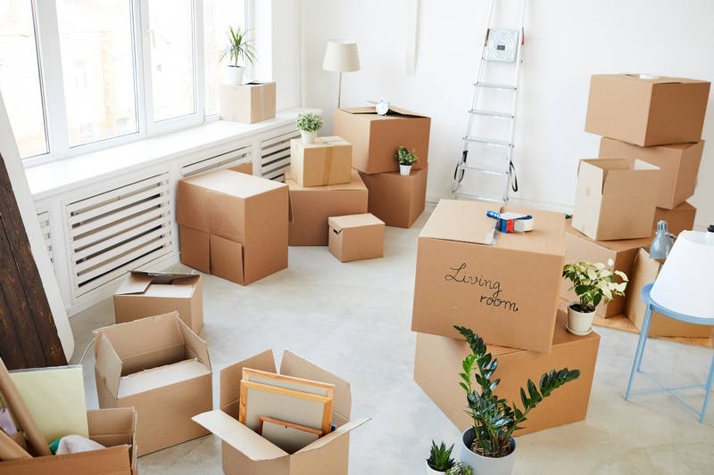 Read more about the article Essential Steps for a Smooth Moving Day