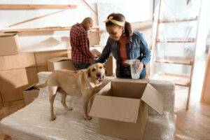 Read more about the article Moving with Pets: Tips for a Seamless Transition