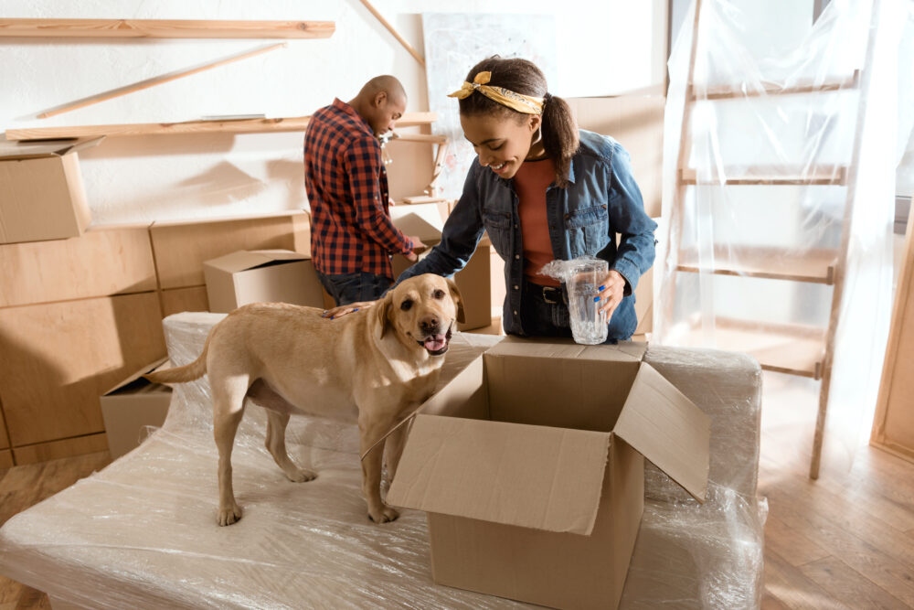 You are currently viewing Moving with Pets: Tips for a Seamless Transition